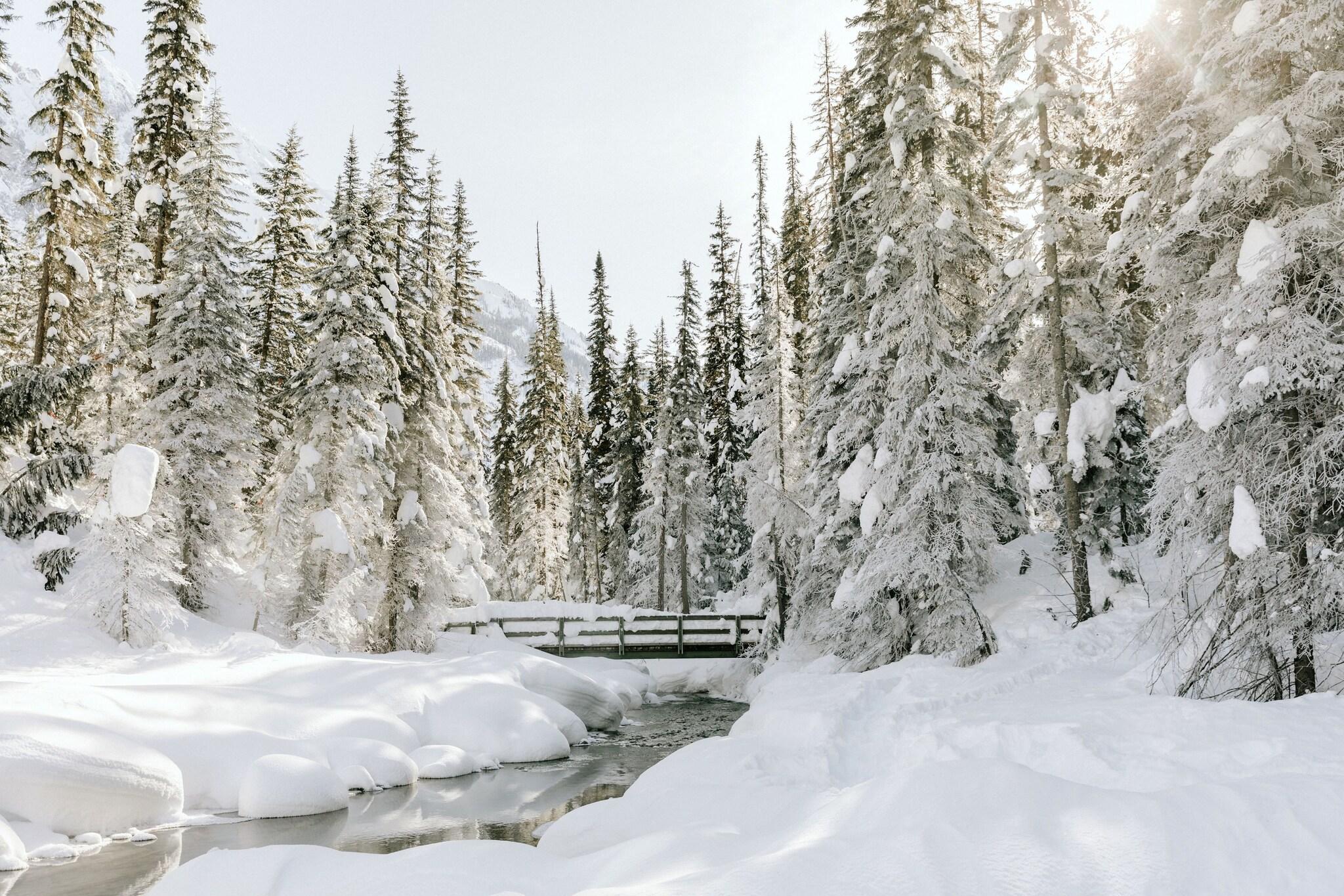 Vista Exterior Emerald Lake Lodge