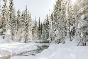 Alojamiento - Emerald Lake Lodge
