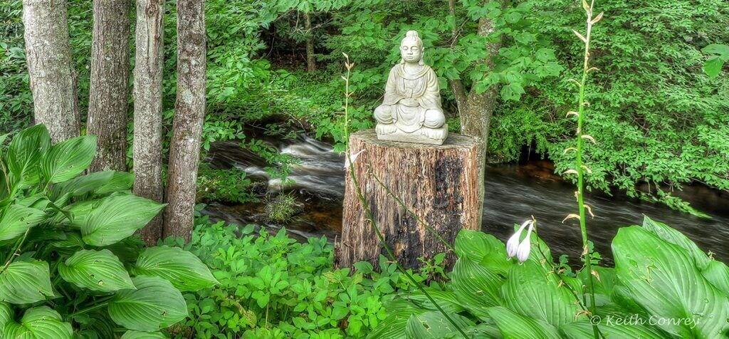 Spa Magnolia Streamside Resort