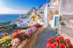 Actividad - Santorini Eterna: Un Paseo por el Pueblo y Degustación de Vinos con Traslados - Tour Privado