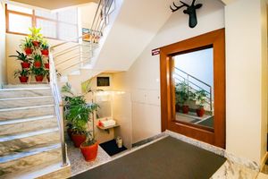 Alojamiento - Magnificent Hotel