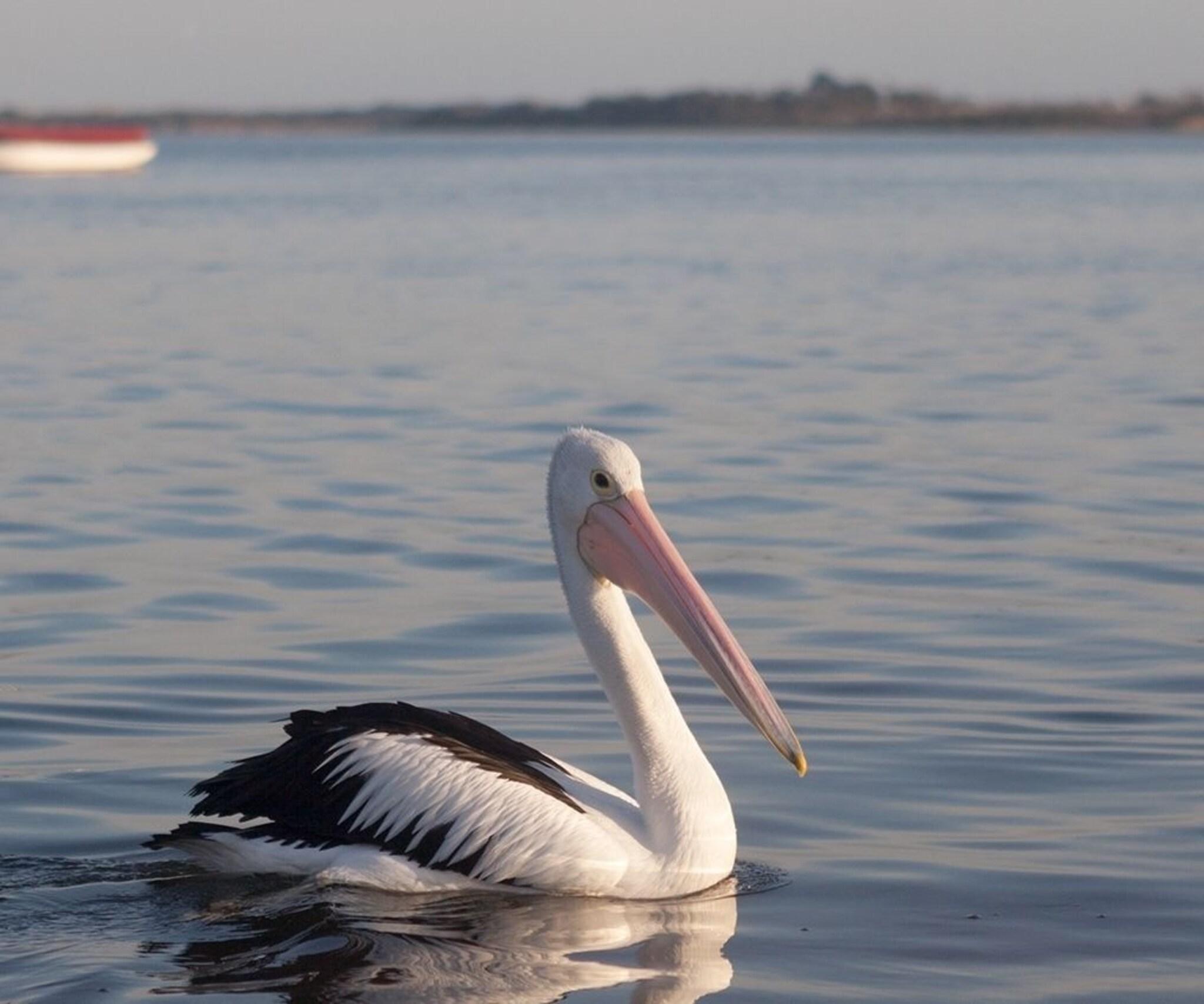 Vista Exterior Oak Tree Lodge