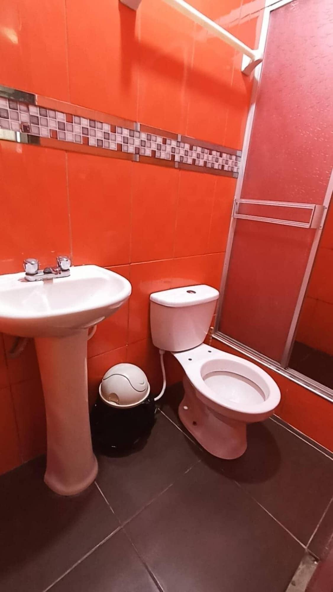 Equipamiento de Habitación Hotel Royal Olympic
