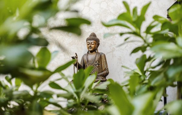 Caribbean Paradise Hotel & Spa - 5th Avenue - Hoteles con spa en Playa del Carmen, México