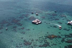 Actividad - Parrachos de Maracajaú con buceo en catamarán