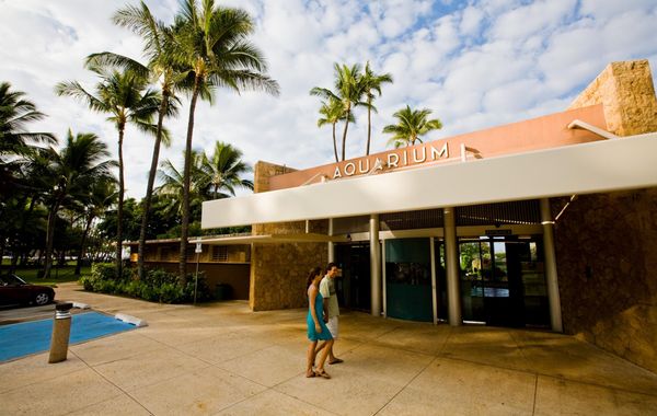 New Otani Kaimana Beach