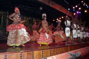 Passeio - Safari Cat Show com Jantar