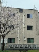 Alojamiento - HOTEL SHUTEC