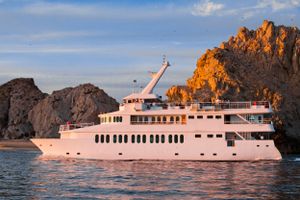 Actividad - *Excursion Avistamiento de ballenas en Barco - SJD