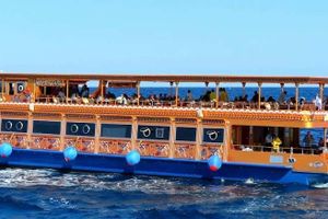Actividad - Paseo en barco egipcio por el Mar Rojo