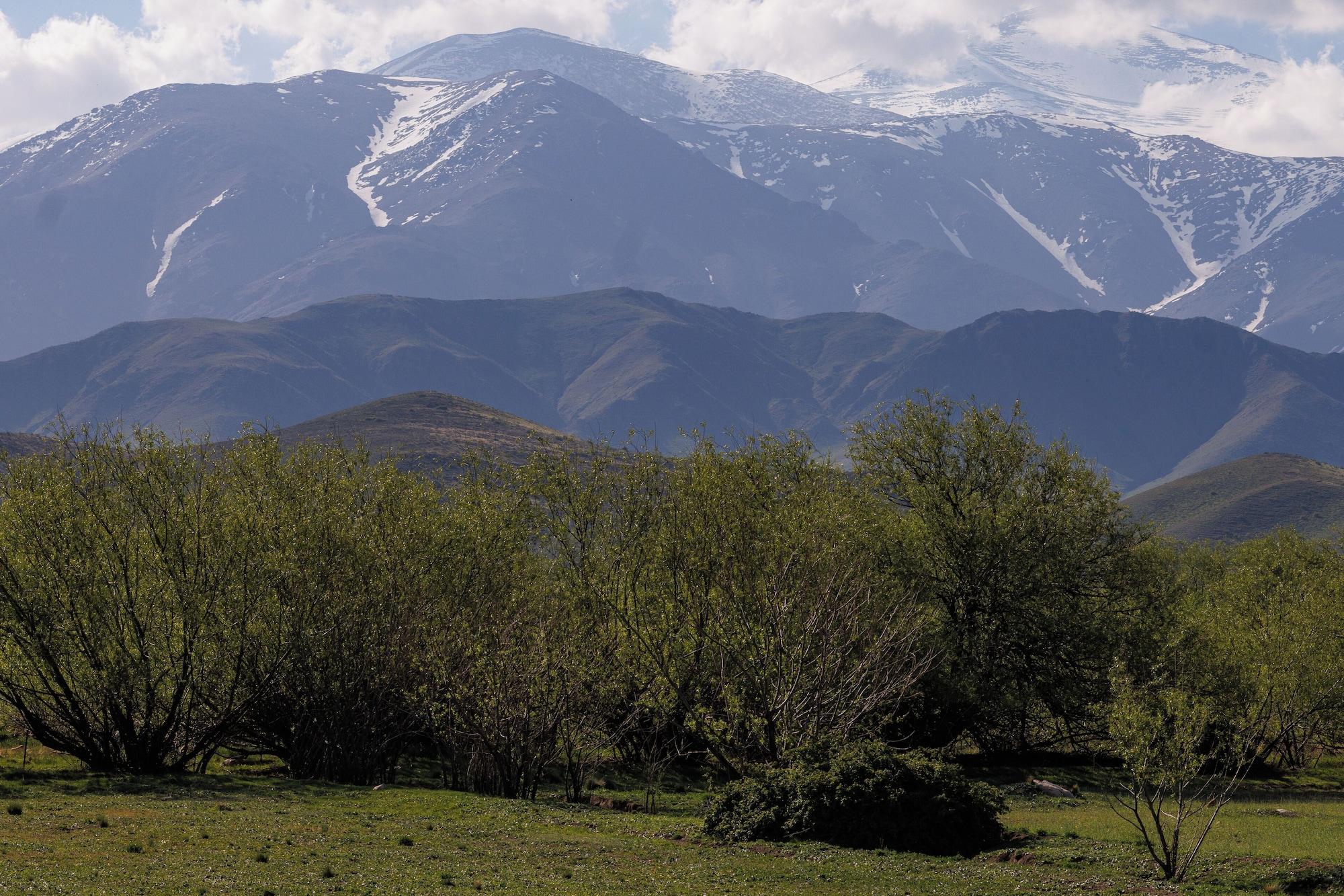 Habitación Om Ifinity Lodge