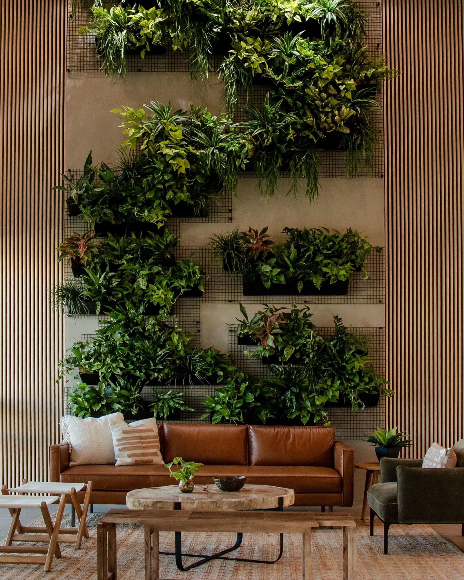 Vista Lobby Brut Hotel