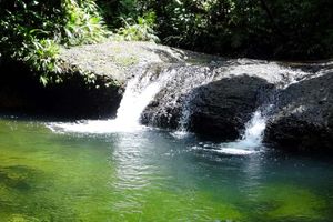 Actividad - Excursión a la Reserva Natural San Cipriano