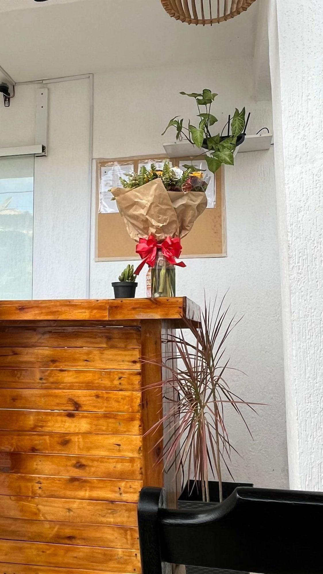 Vista Lobby Primos Hostel & House