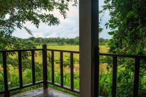 Alojamiento - Camellia Resort and Spa