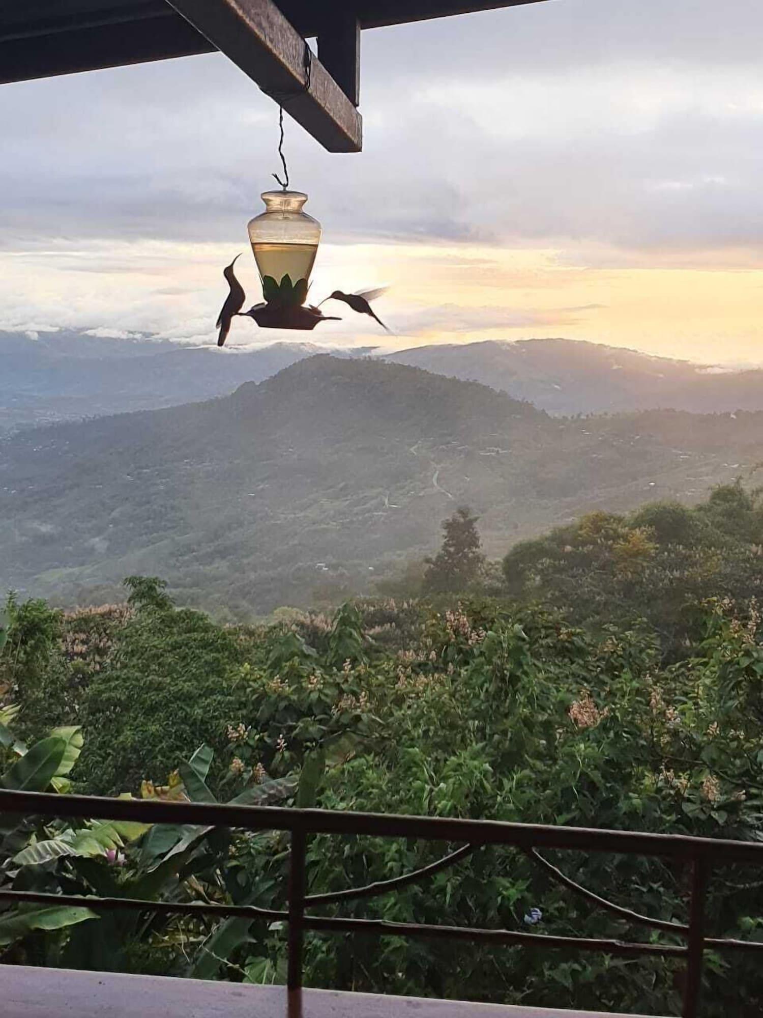 Restaurant Mirador Valle del General