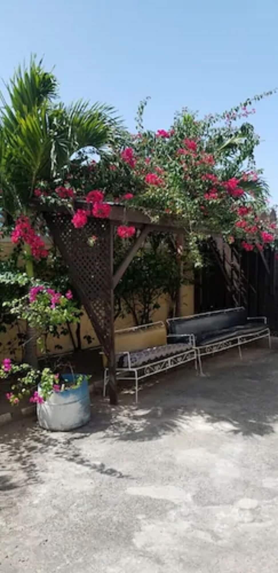 Comodidades del Alojamiento Sunset Inn Hotel