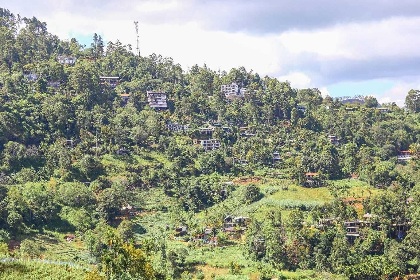 Vista Exterior Ella Bamboo Cabana