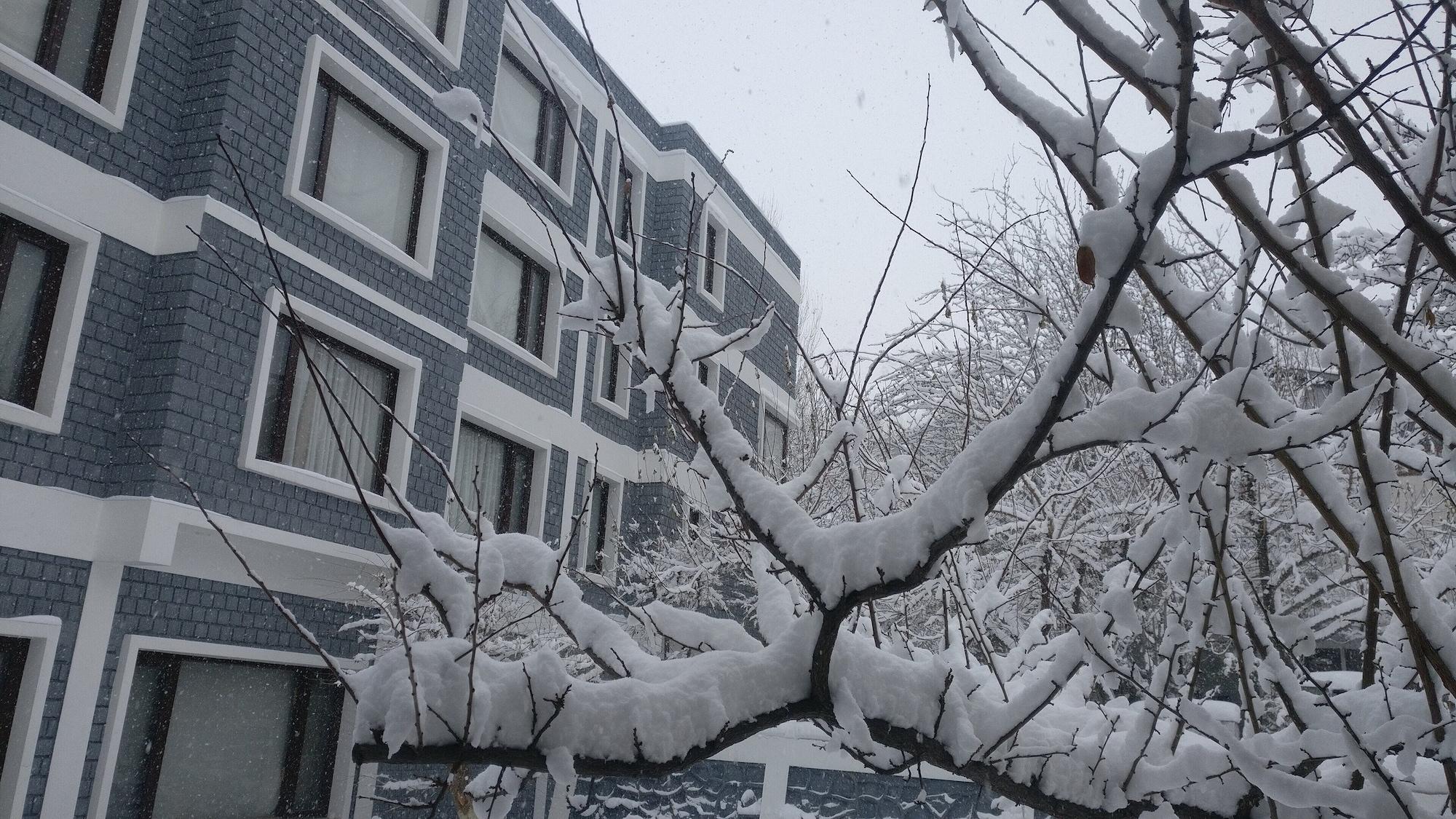 Vista Exterior The Kargil