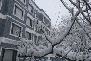 Alojamiento - The Kargil