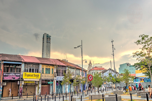 Actividad - Descubrimiento de Penang - Excursión privada de día completo