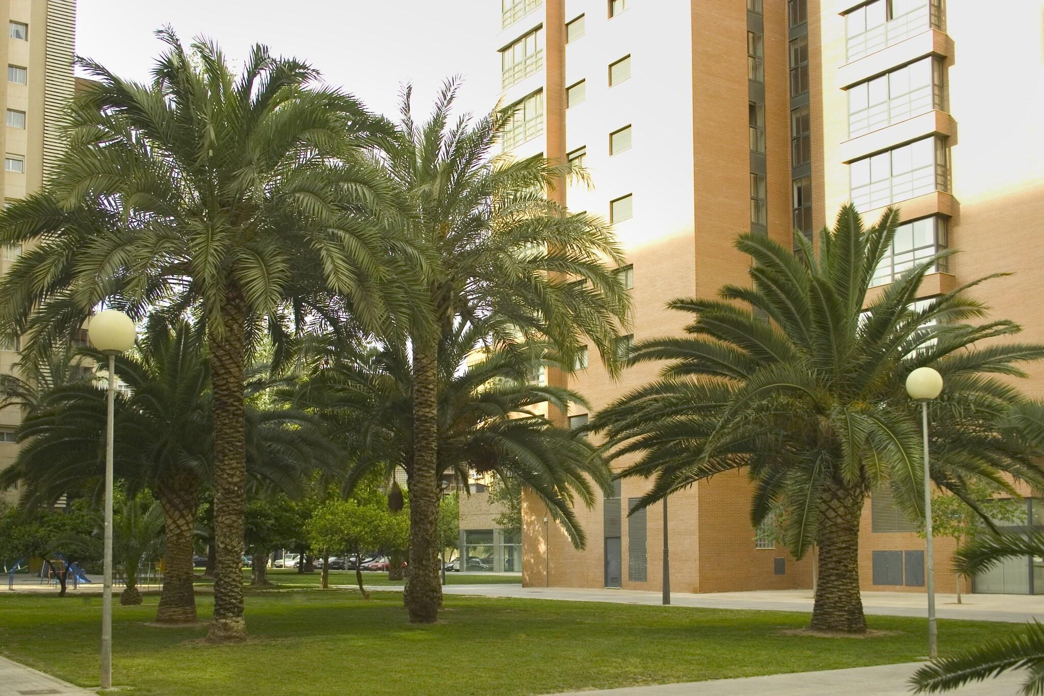 Varios Apartamentos Plaza Picasso