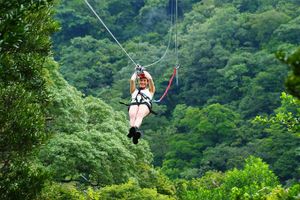 Actividad - Tour en tirolina en el Parque Nacional Braulio Carrillo desde San José