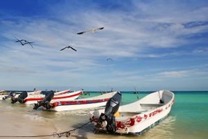 Vuelo - Vuelos a Puerto Morelos