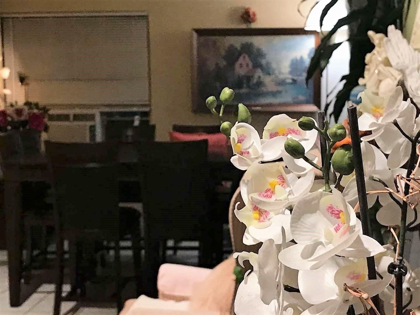 Vista Lobby Cactus Inn and Suites