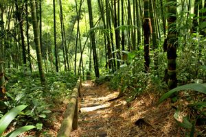 Alojamiento - La Floresta Hotel Campestre