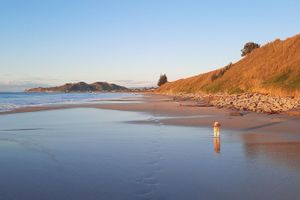 Alquiler Vacacional - Secluded Oceanview Chalet with Floor-to-Ceiling Windows - Your Serene Escape.