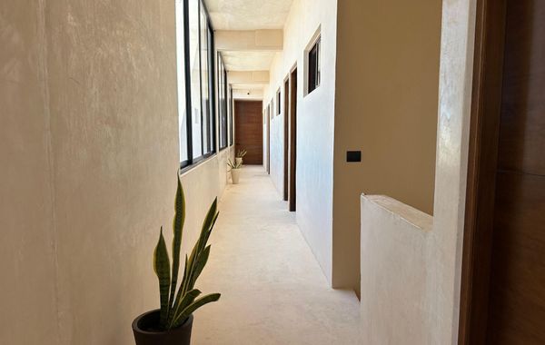 Holbox Midtown Suites - Hoteles familiares en Holbox, México