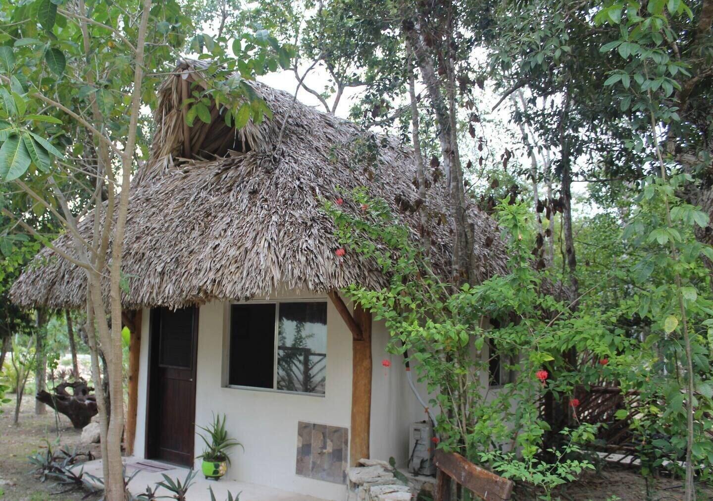 Habitación Ka'ax Cenote Resort