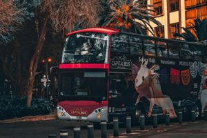 Actividad - Tour nocturno por la Ciudad de Mexico