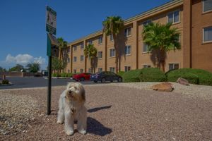 Alojamiento - Holiday Inn Express Las Vegas-Nellis by IHG