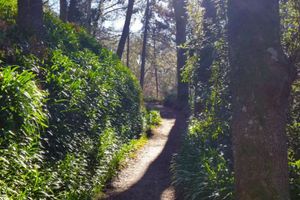 Actividad - Excursión a Valle Paraíso en Madeira