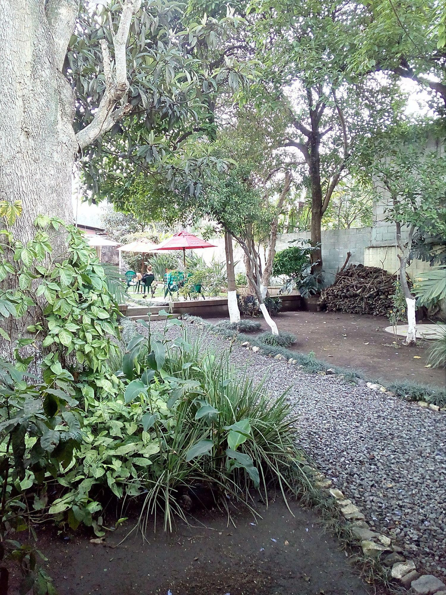 Hotel Hostel y Restaurante Casa Jacaranda