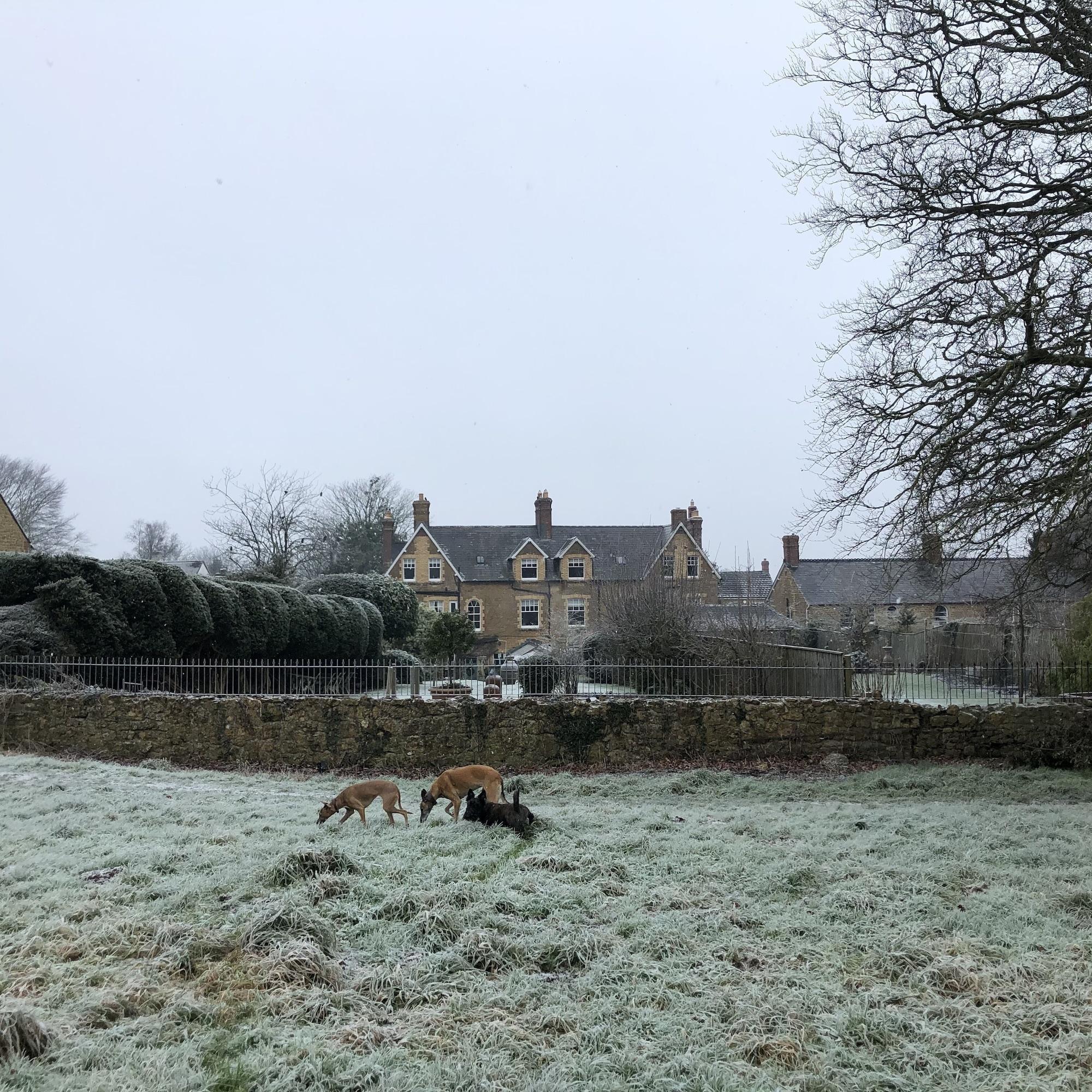 Vista Exterior Ellesmere House