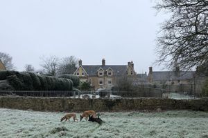 Alojamiento - Ellesmere House