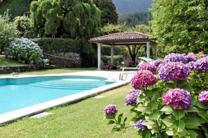 Alquiler Temporario - Lake Maggiore, beautiful villa with pool and large garden on Lake Maggiore