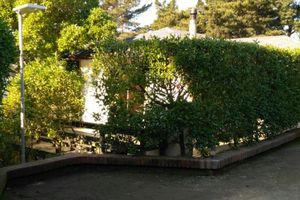 Alquiler Vacacional - AmbienteMar