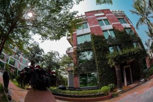 Alojamiento - Shaira Garden Resort