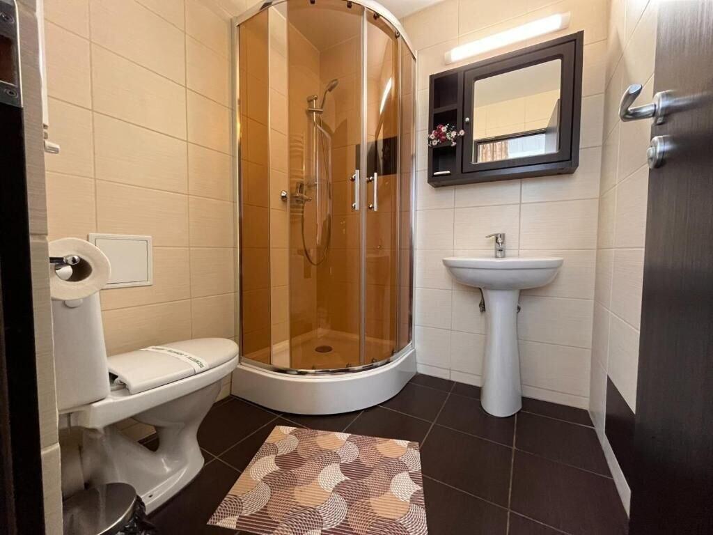 Equipamiento de Habitación Pensiunea Nys