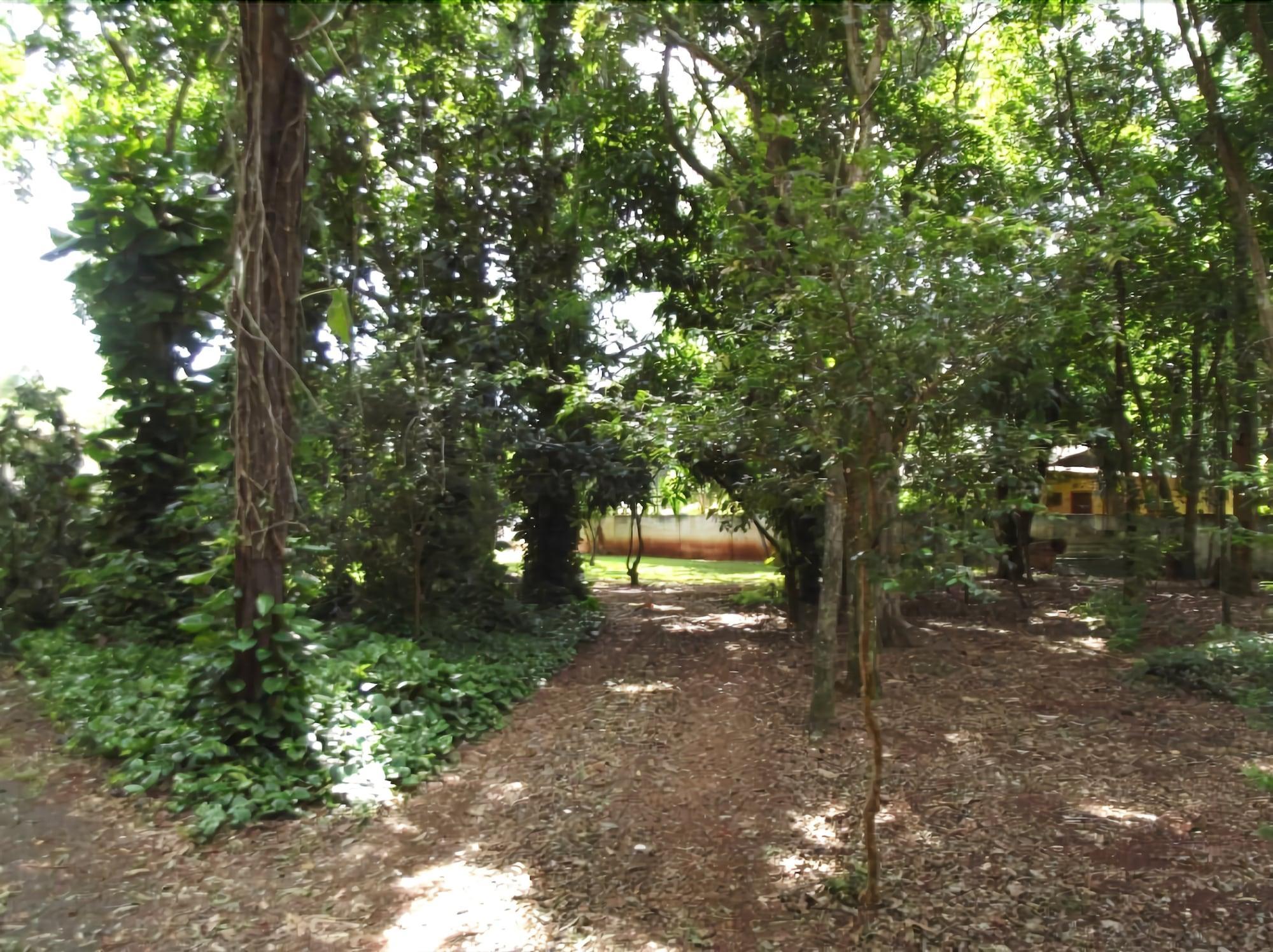 Vista Exterior Pousada Golden Cataratas