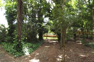 Alojamiento - Pousada Golden Cataratas