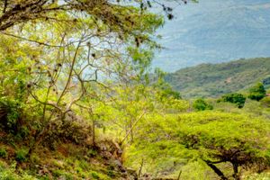 Actividad - Senderismo por el Camino Real hasta Guane