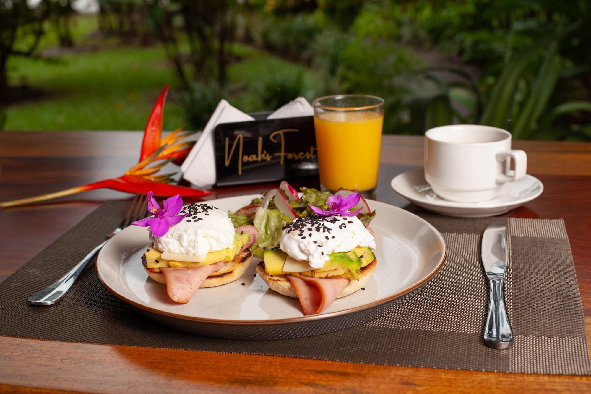 Restaurant Noah's Forest by Tifakara