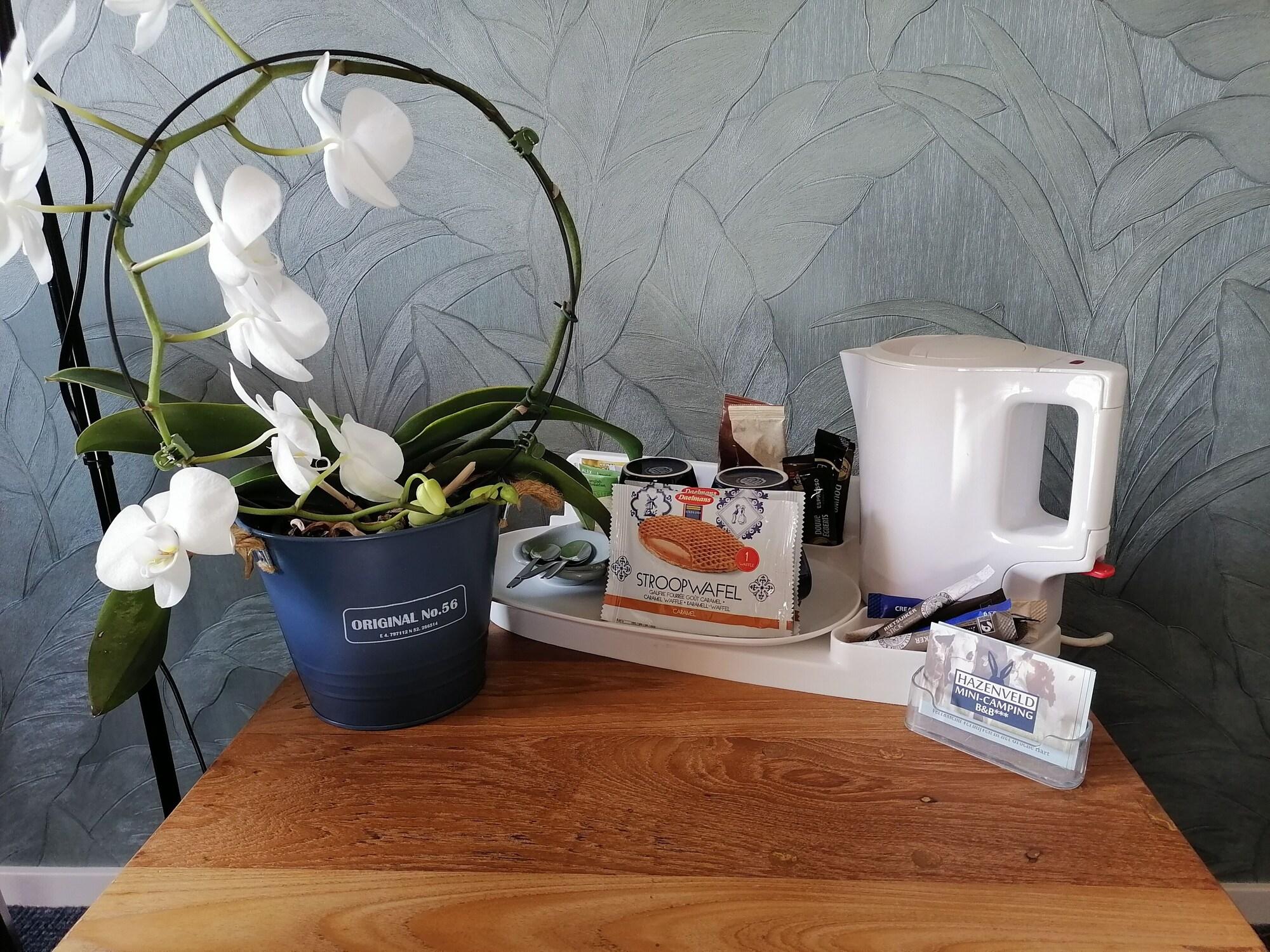Set de Habitación Boerderij Hazenveld