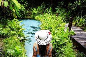 Actividad - Expedición a Jalapão 3 a 7 días