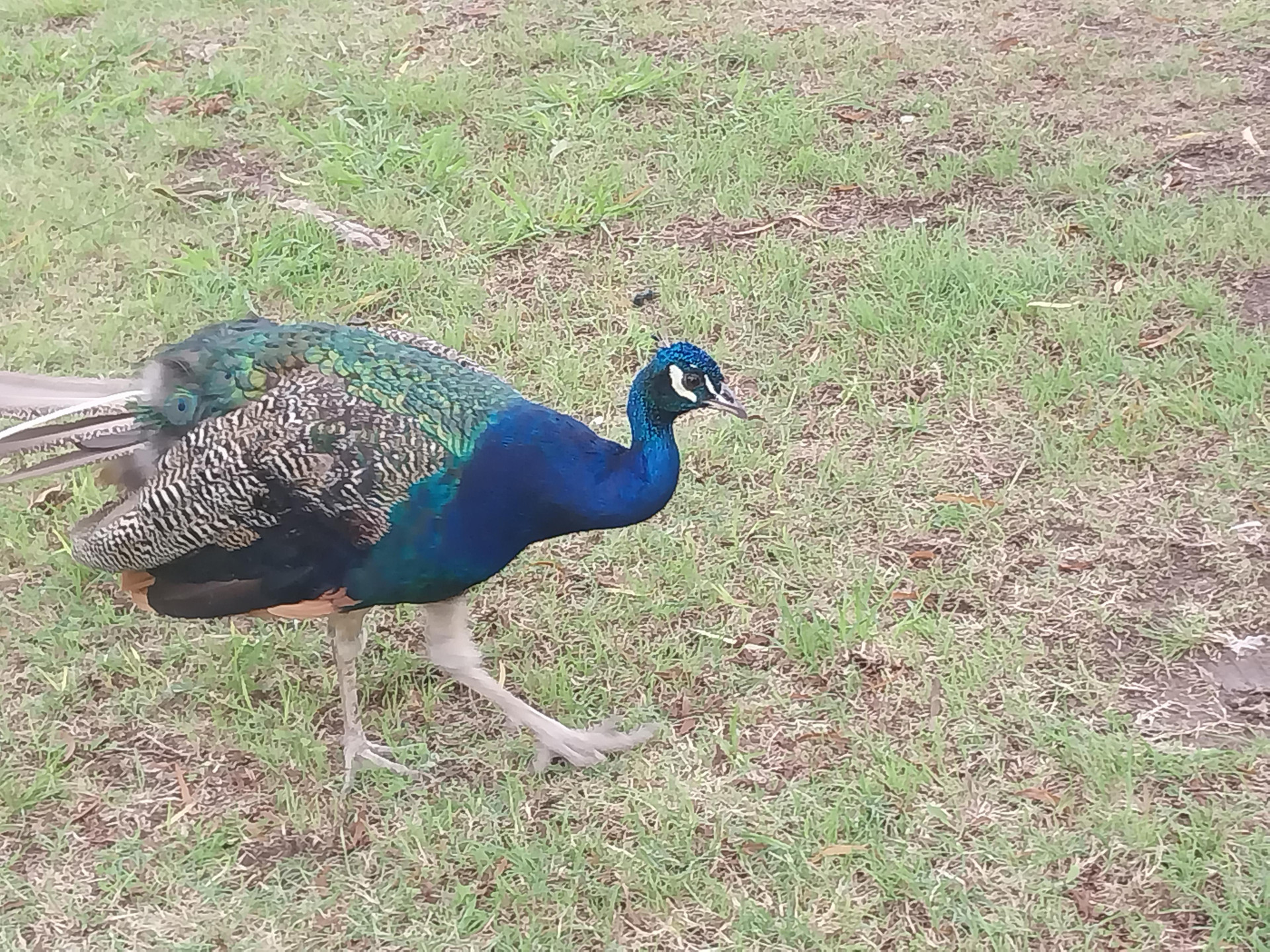 Comodidades del Alojamiento La posada multiespacios